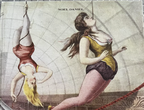 Circus Book Sale!